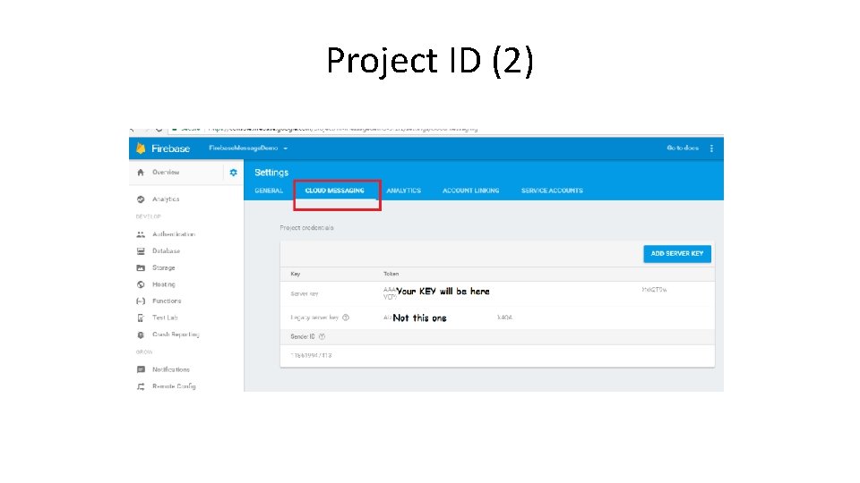 Project ID (2) 
