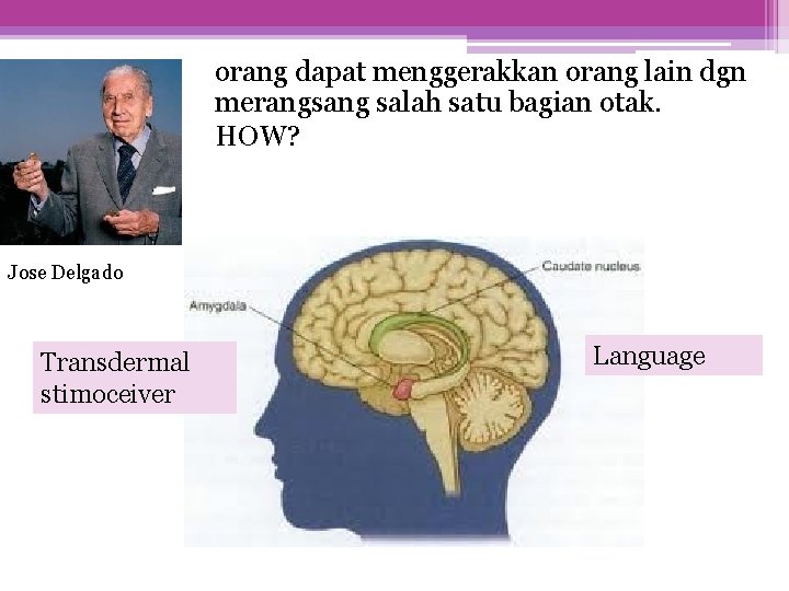  • • orang dapat menggerakkan orang lain dgn merangsang salah satu bagian otak.