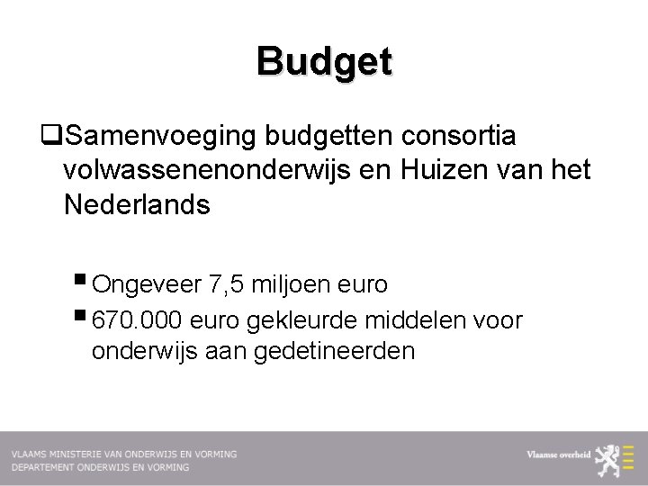 Budget q. Samenvoeging budgetten consortia volwassenenonderwijs en Huizen van het Nederlands § Ongeveer 7,