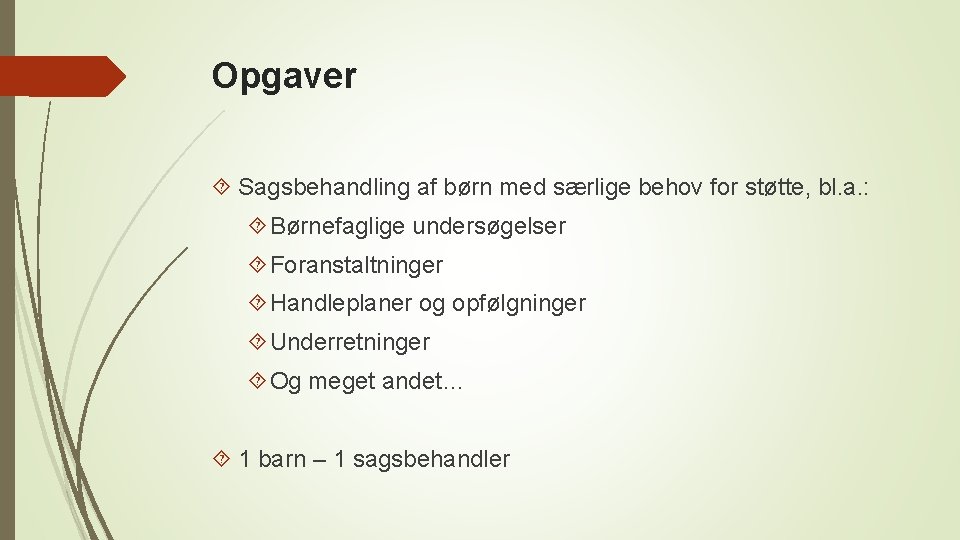 Opgaver Sagsbehandling af børn med særlige behov for støtte, bl. a. : Børnefaglige undersøgelser