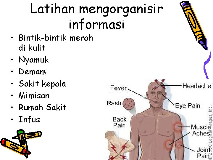 Latihan mengorganisir informasi • Bintik-bintik merah di kulit • Nyamuk • Demam • Sakit