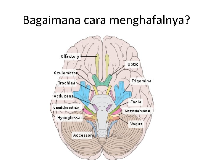 Bagaimana cara menghafalnya? 