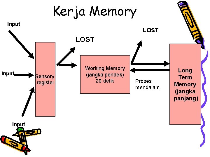 Kerja Memory Input LOST Input Sensory register Working Memory (jangka pendek) 20 detik Proses