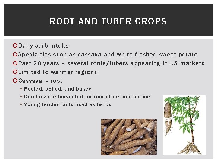 ROOT AND TUBER CROPS Daily carb intake Specialties such as cassava and white fleshed