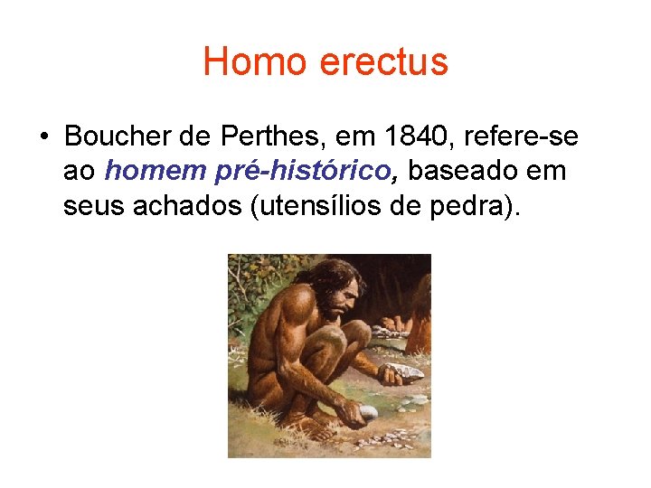 Homo erectus • Boucher de Perthes, em 1840, refere-se ao homem pré-histórico, baseado em