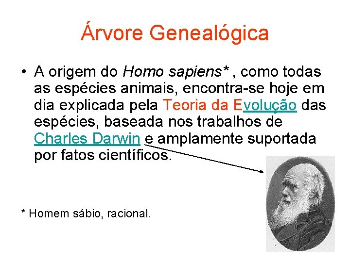 Árvore Genealógica • A origem do Homo sapiens* , como todas as espécies animais,