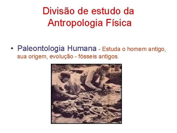 Divisão de estudo da Antropologia Física • Paleontologia Humana - Estuda o homem antigo,