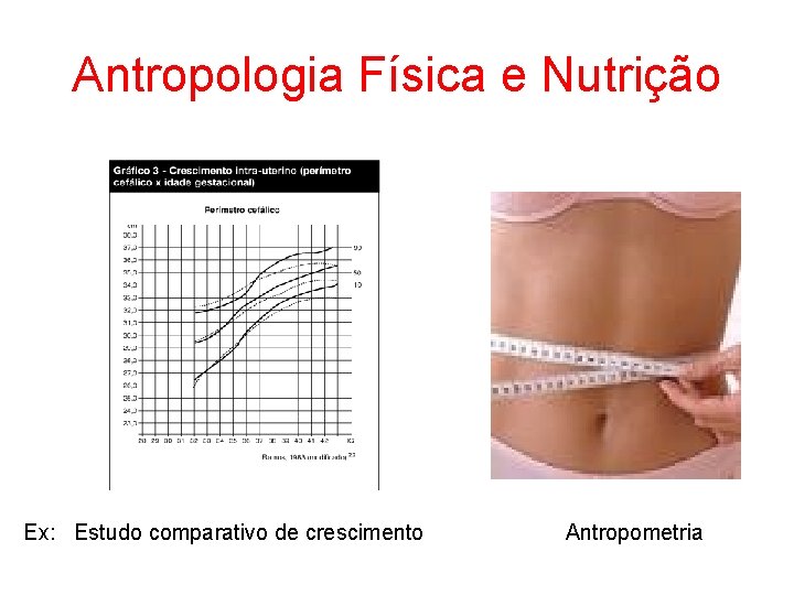 Antropologia Física e Nutrição Ex: Estudo comparativo de crescimento Antropometria 