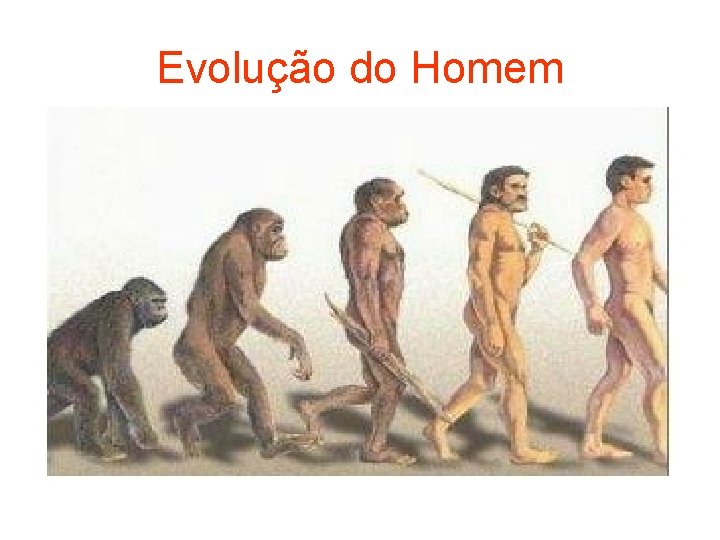 Evolução do Homem 