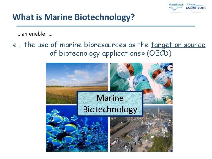 What is Marine Biotechnology? … an enabler … «… the use of marine bioresources