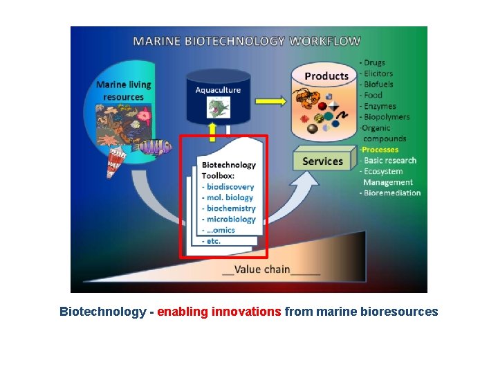 Biotechnology - enabling innovations from marine bioresources 07/03/2021 www. marinebiotech. eu 6 