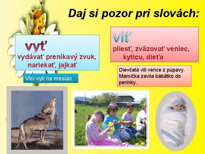 Daj si pozor pri slovách: viť vydávať prenikavý zvuk, nariekať, jajkať Vlci vyli na