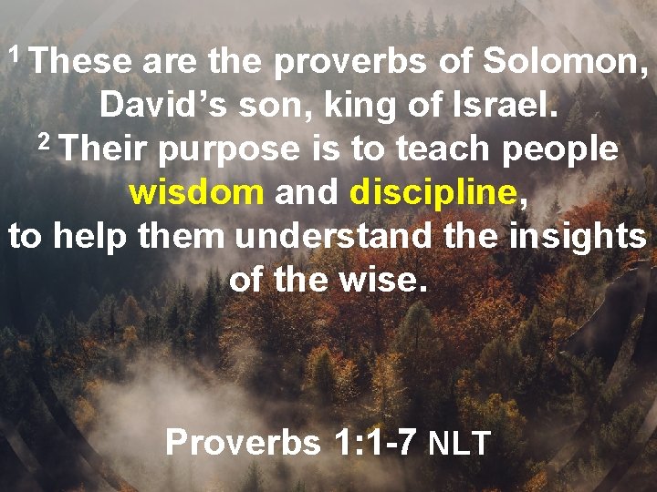 1 These are the proverbs of Solomon, David’s son, king of Israel. 2 Their