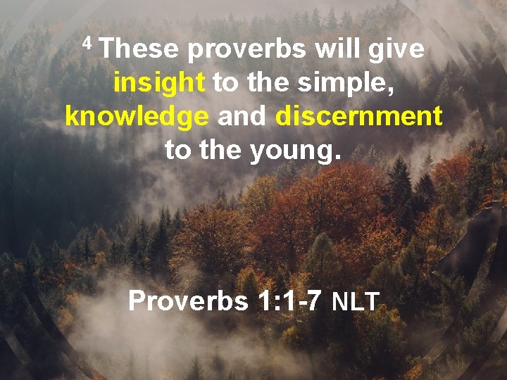 4 These proverbs will give insight to the simple, knowledge and discernment to the