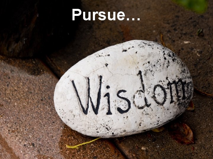 Pursue… 