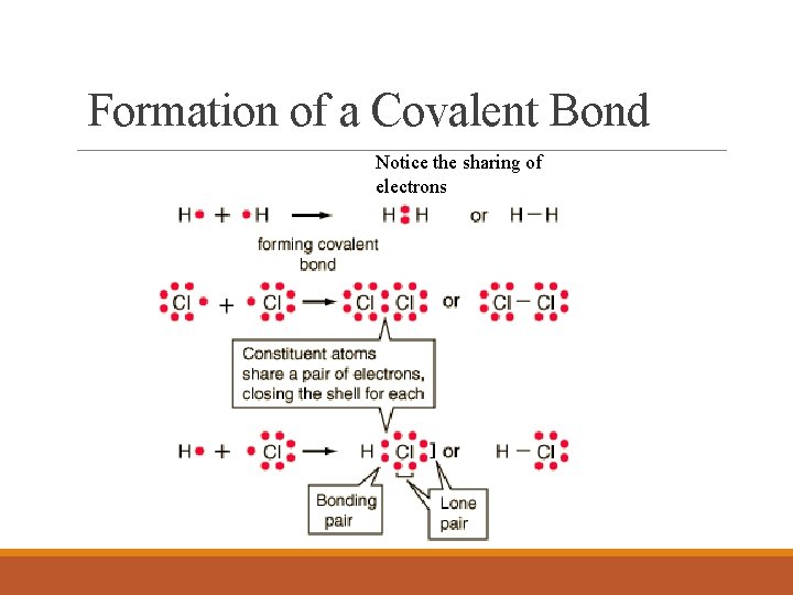 Formation of a Covalent Bond Notice the sharing of electrons 