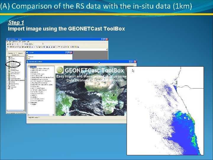 (A) Comparison of the RS data with the in-situ data (1 km) Step 1