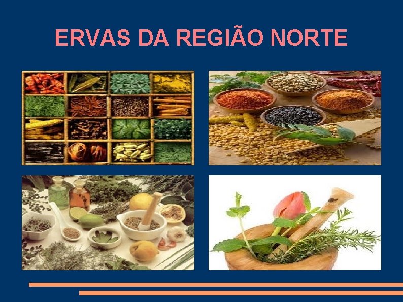 ERVAS DA REGIÃO NORTE 