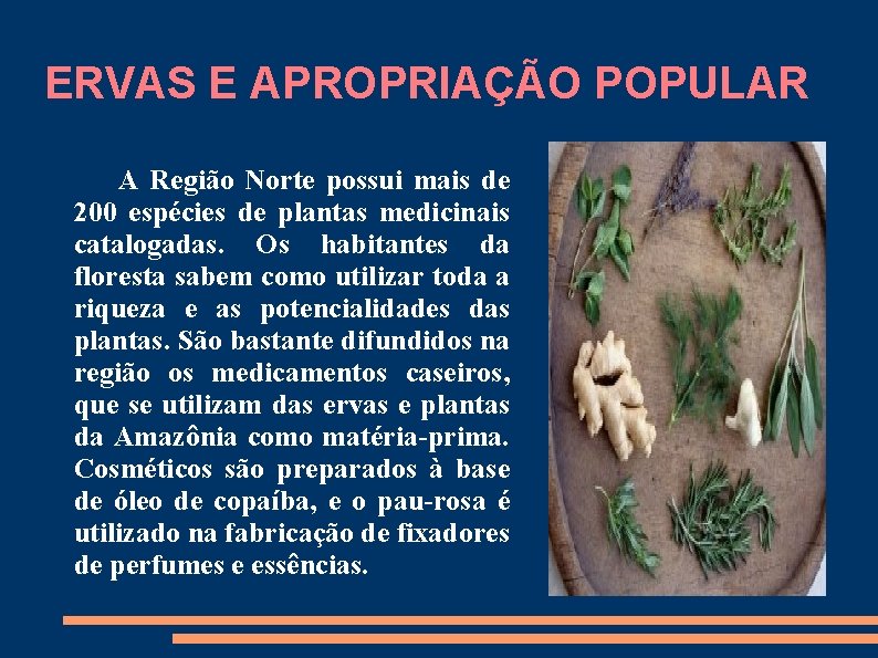 ERVAS E APROPRIAÇÃO POPULAR A Região Norte possui mais de 200 espécies de plantas