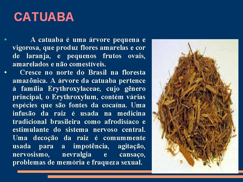 CATUABA • A catuaba é uma árvore pequena e vigorosa, que produz flores amarelas