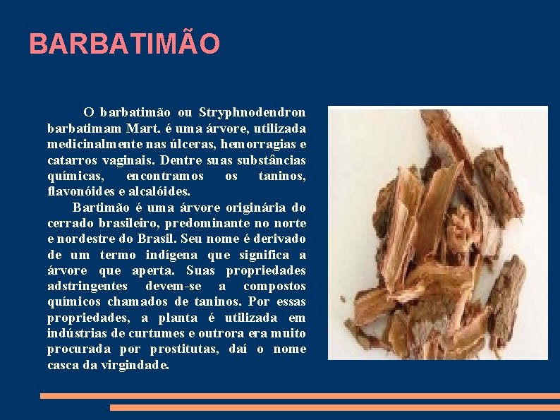 BARBATIMÃO O barbatimão ou Stryphnodendron barbatimam Mart. é uma árvore, utilizada medicinalmente nas úlceras,