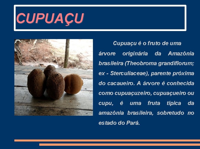 CUPUAÇU Cupuaçu é o fruto de uma árvore originária da Amazônia brasileira (Theobroma grandiflorum;