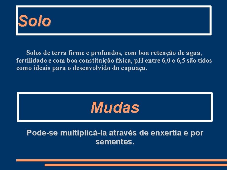 Solos de terra firme e profundos, com boa retenção de água, fertilidade e com