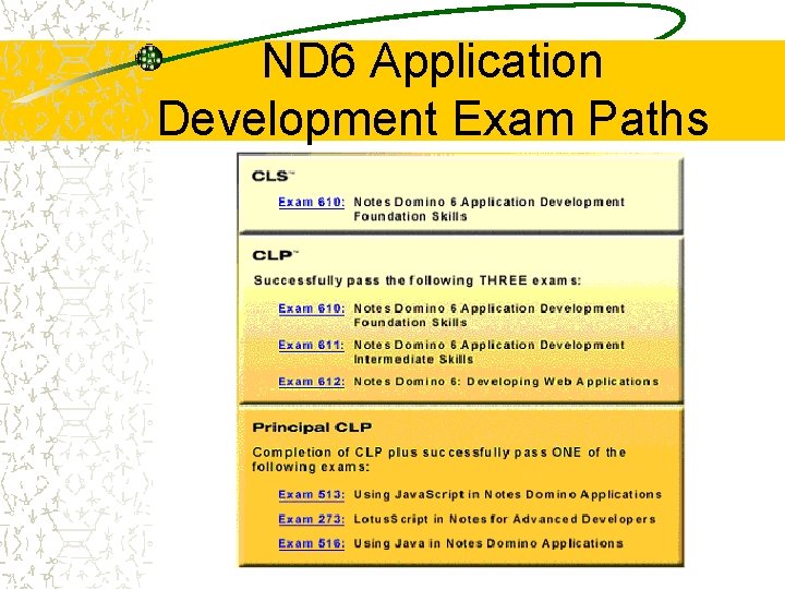 ND 6 Application Development Exam Paths 