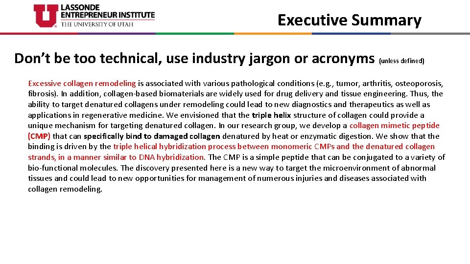 Executive Summary Don’t be too technical, use industry jargon or acronyms (unless defined) Excessive