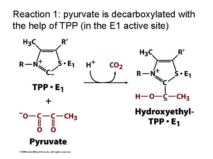 Reaction 1: pyurvate is decarboxylated with the help of TPP (in the E 1