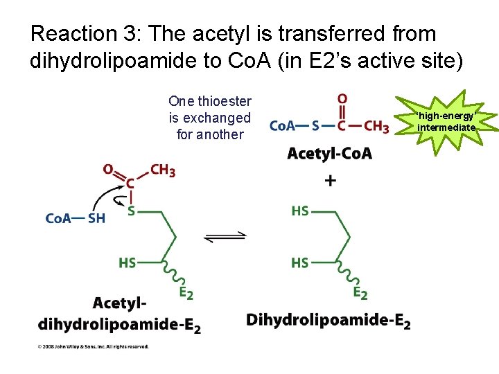 Reaction 3: The acetyl is transferred from dihydrolipoamide to Co. A (in E 2’s