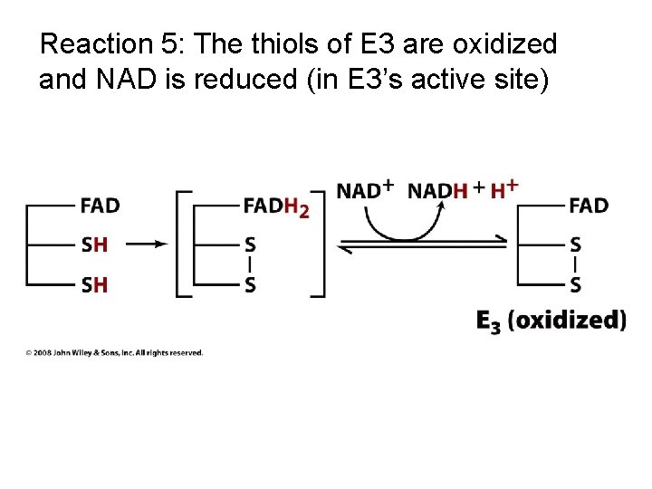 Reaction 5: The thiols of E 3 are oxidized and NAD is reduced (in