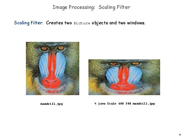 Image Processing: Scaling Filter Scaling filter. Creates two Picture objects and two windows. mandrill. Image Processing: Scaling Filter Scaling filter. Creates two Picture objects and two windows. mandrill.