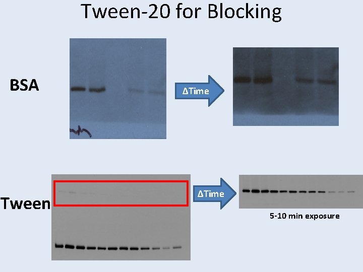 Tween-20 for Blocking BSA Tween ΔTime 5 -10 min exposure 