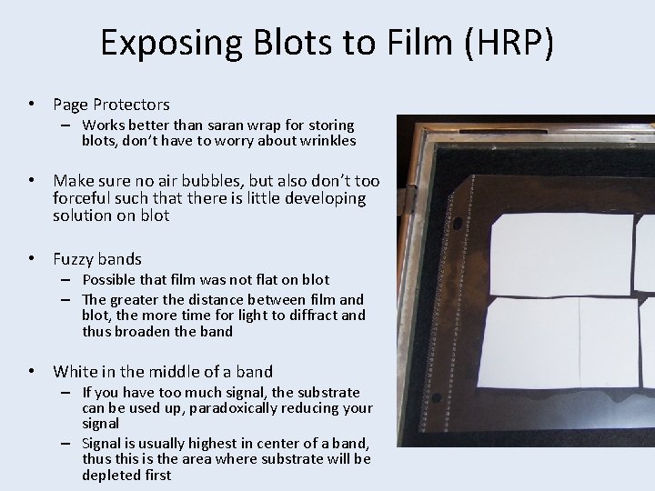 Exposing Blots to Film (HRP) • Page Protectors – Works better than saran wrap