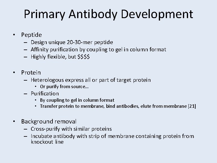 Primary Antibody Development • Peptide – Design unique 20 -30 -mer peptide – Affinity