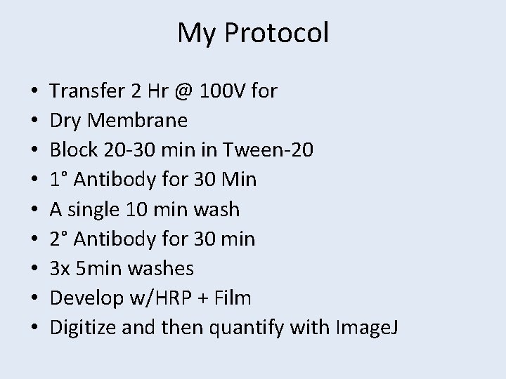 My Protocol • • • Transfer 2 Hr @ 100 V for Dry Membrane