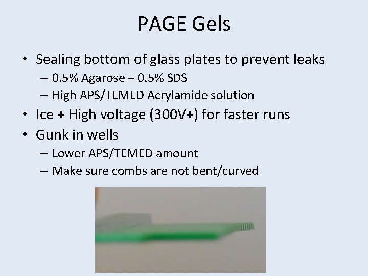 PAGE Gels • Sealing bottom of glass plates to prevent leaks – 0. 5%