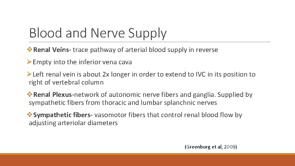 Blood and Nerve Supply v. Renal Veins- trace pathway of arterial blood supply in
