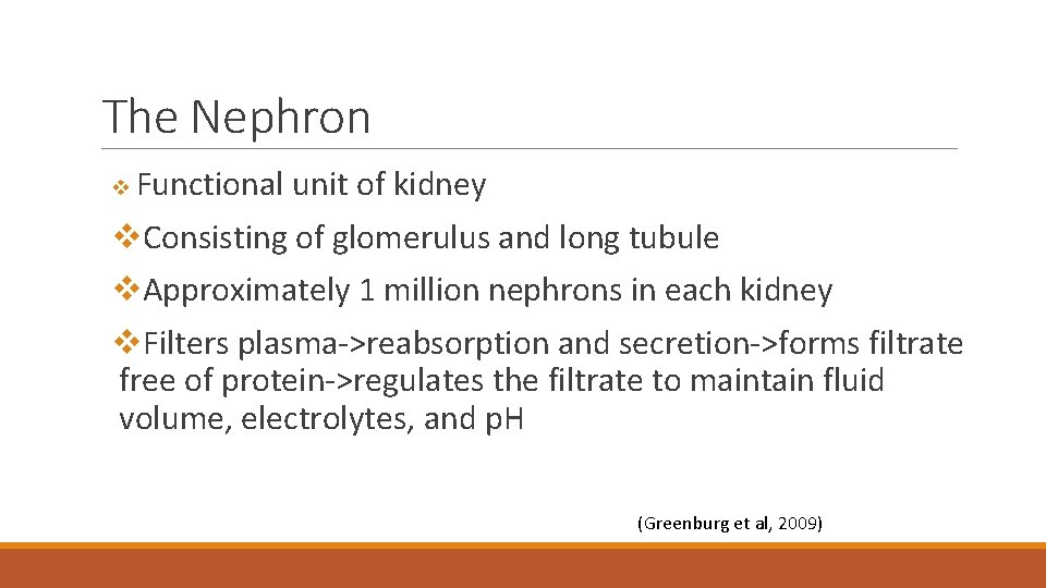 The Nephron v Functional unit of kidney v. Consisting of glomerulus and long tubule