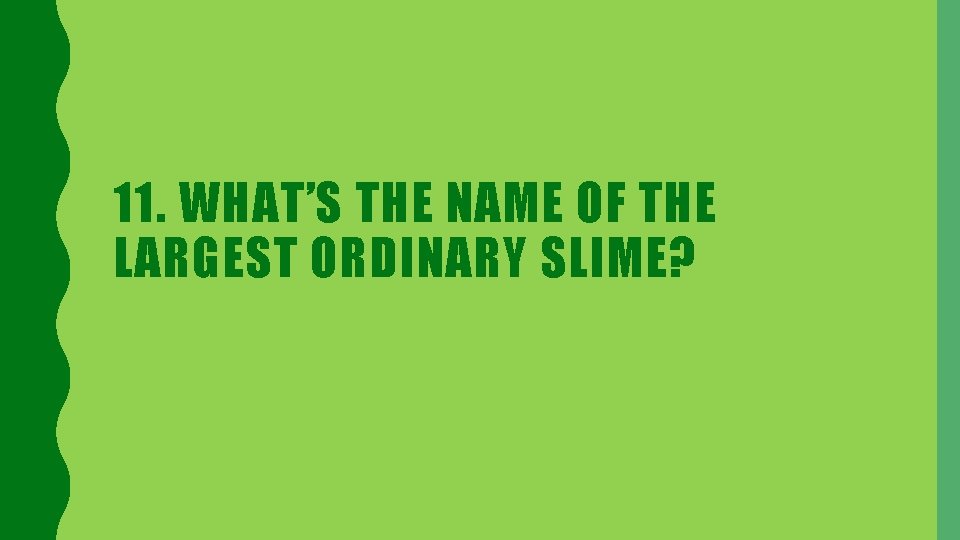 11. WHAT’S THE NAME OF THE LARGEST ORDINARY SLIME? 