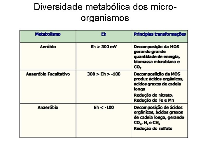 Diversidade metabólica dos microorganismos 