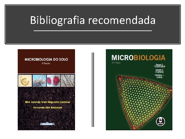 Bibliografia recomendada 
