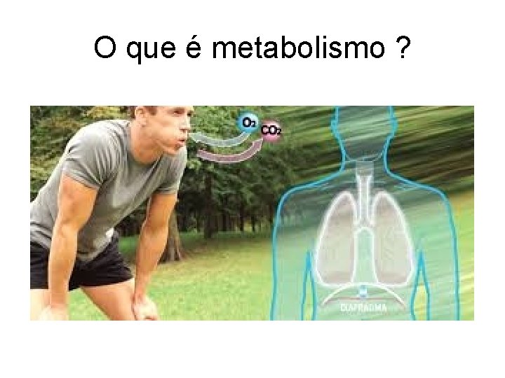 O que é metabolismo ? 