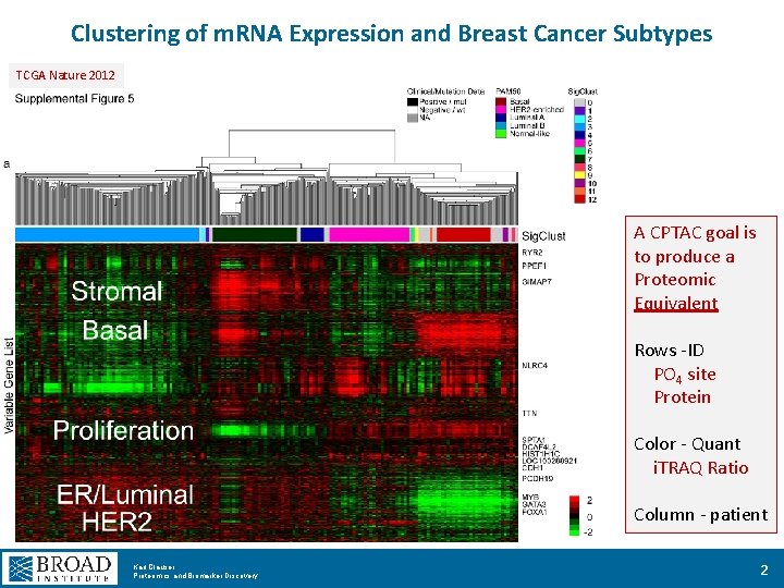 Clustering of m. RNA Expression and Breast Cancer Subtypes TCGA Nature 2012 A CPTAC