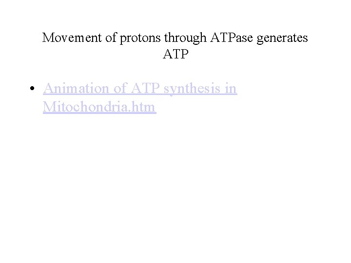 Movement of protons through ATPase generates ATP • Animation of ATP synthesis in Mitochondria. Movement of protons through ATPase generates ATP • Animation of ATP synthesis in Mitochondria.