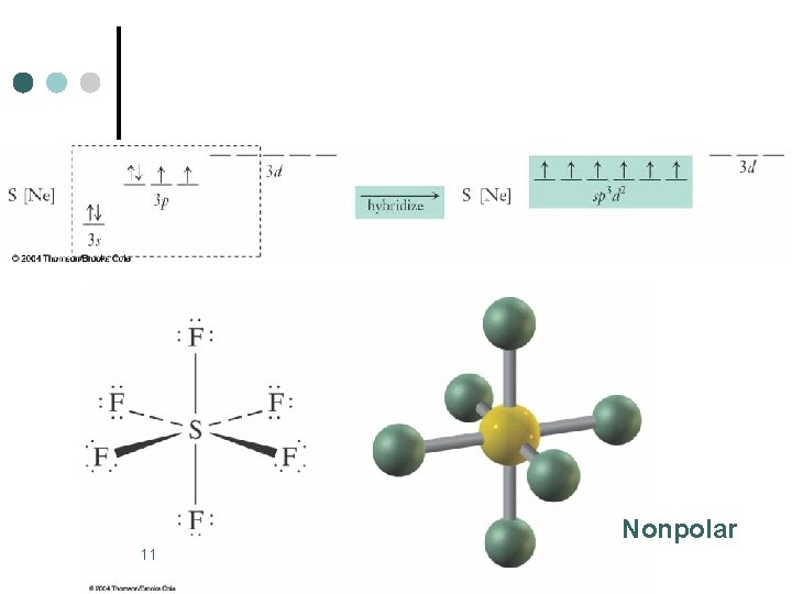 Nonpolar 11 