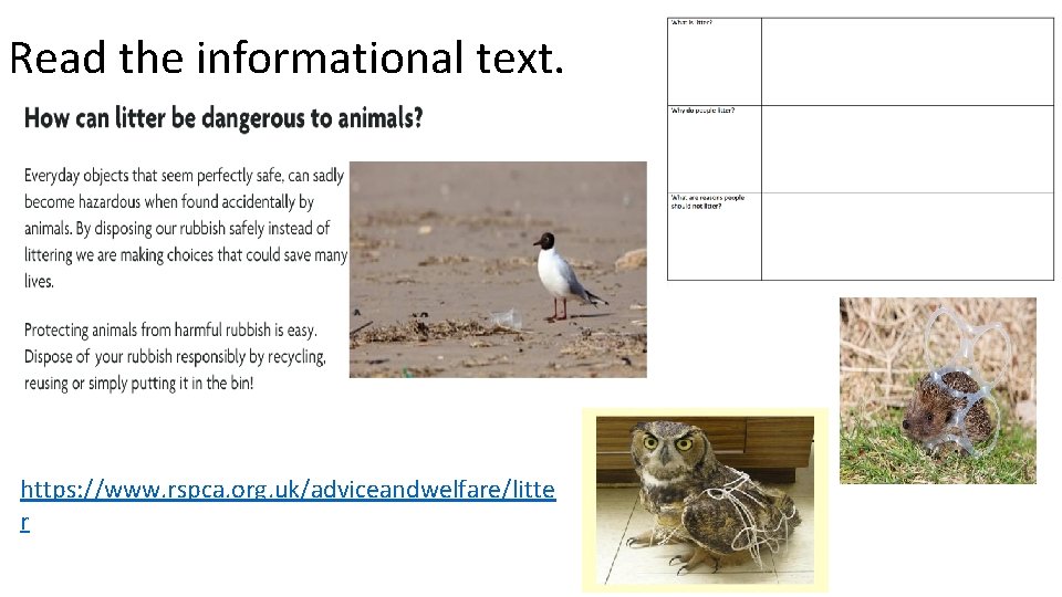 Read the informational text. https: //www. rspca. org. uk/adviceandwelfare/litte r 