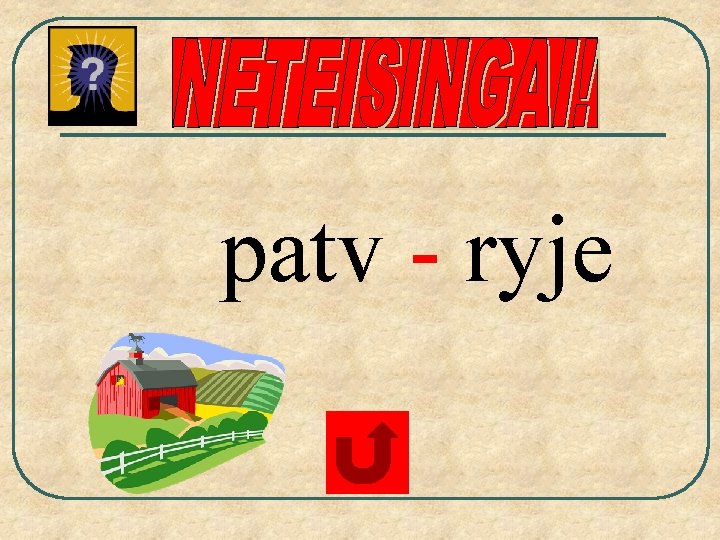 patv - ryje 