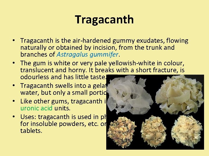 Tragacanth • Tragacanth is the air-hardened gummy exudates, flowing naturally or obtained by incision,